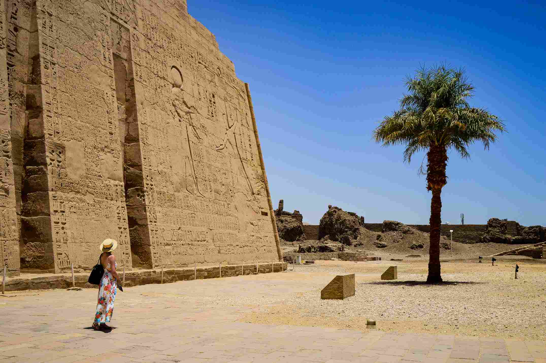 Contact Mina and Pup Egypt